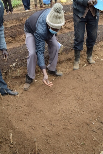 Farmers in Kiambu, Kenya demonstrating two ways of planting along rows sow and water vs water and sow The former proved easier â’¸ Maundu, 2021 Farmers in Kiambu, Kenya demonstrating two ways of planting along rows sow and water vs water and sow The former proved easier â’¸ Maundu, 2021