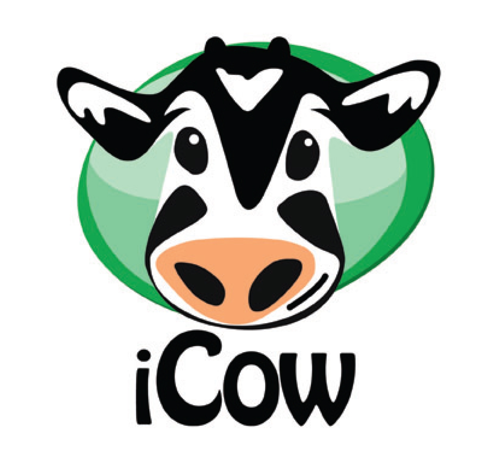 iCow
