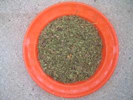 Leucaena leaves