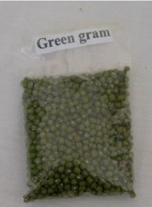Green gram seeds