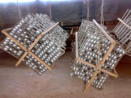 Fully spun cocoons on rotary mountages
