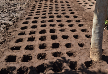 Freshly dug Zai pits.â’¸ Maundu, 2021 Freshly dug Zai pits.â’¸ Maundu, 2021