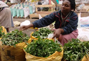 A vegetable retailer in one of the open-air markets in Nairobi, Kenya. Ⓒ Maundu, 2006 A vegetable retailer in one of the open-air markets in Nairobi, Kenya. Ⓒ Maundu, 2006