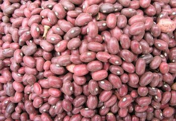 Beans-Wairimu (royal), Kenya. â’¸ Adeka et al., 2005. Beans-Wairimu (royal), Kenya. â’¸ Adeka et al., 2005.