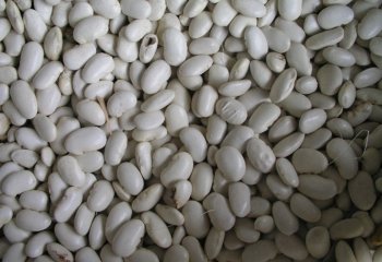 Beans-white, Kenya. â’¸ Adeka et al., 2005 Beans-white, Kenya. â’¸ Adeka et al., 2005