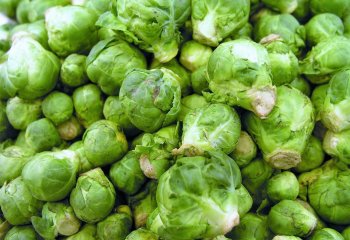 Brussels sprouts (Brassica oleracea (Gemmifera Group), Kenya. â’¸ Adeka et al., 2005 Brussels sprouts (Brassica oleracea (Gemmifera Group), Kenya. â’¸ Adeka et al., 2005