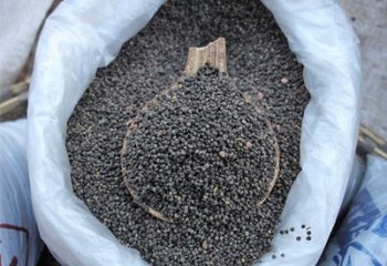 Spiderplant seeds in Gulu market, Uganda.© Maundu, 2005 Spiderplant seeds in Gulu market, Uganda.© Maundu, 2005