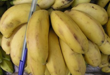 Sweet banana Nairobi market, Kenya Ⓒ Adeka et al., 2005 Sweet banana Nairobi market, Kenya Ⓒ Adeka et al., 2005