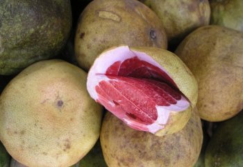 Grapefruit in Nairobi market. © Maundu, 2005 Grapefruit in Nairobi market. © Maundu, 2005