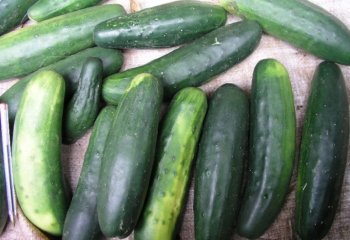 Long type cucumber in Nairobi market, Kenya. â’¸ Foods of the Nairobi people, 2005 Long type cucumber in Nairobi market, Kenya. â’¸ Foods of the Nairobi people, 2005