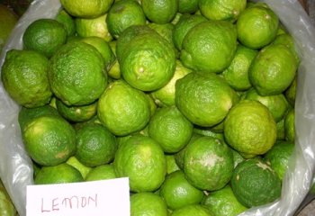 Rough lemon fruits in Nairobi market, Kenya. Ⓒ Adeka, 2005 Rough lemon fruits in Nairobi market, Kenya. Ⓒ Adeka, 2005