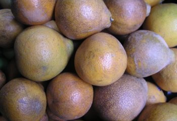 Voi oranges in Nairobi market. © Maundu, 2005 Voi oranges in Nairobi market. © Maundu, 2005