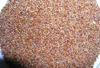 Brown Fingermillet. â’¸ Foods of Nairobi people, 2001. Brown Fingermillet. â’¸ Foods of Nairobi people, 2001.