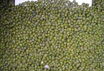 Green gram – ‘Nylon’ type in a Nairobi market. Ⓒ Foods of Nairobi people, 2005 Green gram – ‘Nylon’ type in a Nairobi market. Ⓒ Foods of Nairobi people, 2005