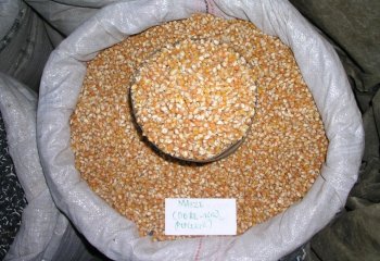 Maize -Popcorn maize in Nairobi market, Kenya Ⓒ P Maundu, 2005 Maize -Popcorn maize in Nairobi market, Kenya Ⓒ P Maundu, 2005