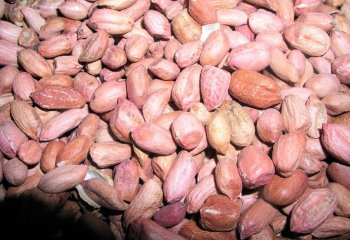Nyeupe kubwa goundnut type from Tanzania. â’¸ Foods of the Nairobi people, 2005 Nyeupe kubwa goundnut type from Tanzania. â’¸ Foods of the Nairobi people, 2005