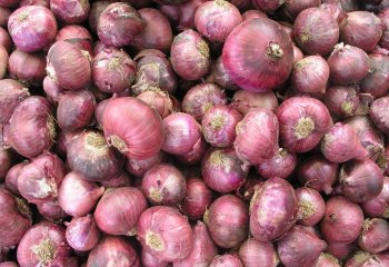 Red onion in Nairobi Market, Kenya. â’¸ Adeka et al., 2005 Red onion in Nairobi Market, Kenya. â’¸ Adeka et al., 2005