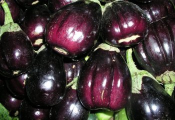 Round brinjals in Nairobi market, Kenya Ⓒ Food of the Nairobi people, 2005 Round brinjals in Nairobi market, Kenya Ⓒ Food of the Nairobi people, 2005