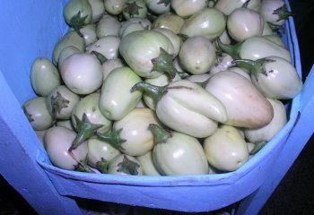 White eggplants in Nairobi market, Kenya Ⓒ Food of the Nairobi people, 2005 White eggplants in Nairobi market, Kenya Ⓒ Food of the Nairobi people, 2005