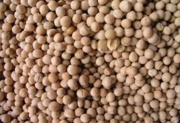 Dry garden peas- Kikuyu type in Nairobi market â’¸ Adeka et al., Foods of Nairobi people, 2005 Dry garden peas- Kikuyu type in Nairobi market â’¸ Adeka et al., Foods of Nairobi people, 2005
