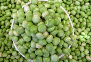 Fresh Pigeon peas in Nairobi market, Kenya. â’¸ Foods of the Nairobi people Fresh Pigeon peas in Nairobi market, Kenya. â’¸ Foods of the Nairobi people