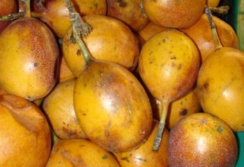 Passion sweet granadilla type in Nairobi market, Kenya. â’¸ Adeka et al., Foods of Nairobi people, 2006 Passion sweet granadilla type in Nairobi market, Kenya. â’¸ Adeka et al., Foods of Nairobi people, 2006