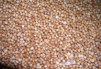 Pigeon peas (brown type) from Tharaka Nithi, Kenya - Nairobi market.â’¸ Adeka et al., 2005. Foods of Nairobi people Pigeon peas (brown type) from Tharaka Nithi, Kenya - Nairobi market.â’¸ Adeka et al., 2005. Foods of Nairobi people