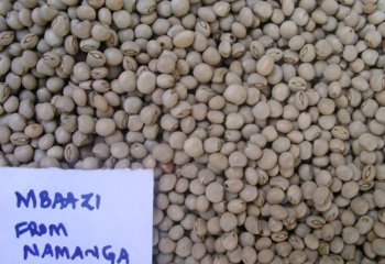 Pigeon peas, cream form from Namanga and Kitui, Kenya. â’¸ Adeka et al., 2005. Foods of Nairobi people Pigeon peas, cream form from Namanga and Kitui, Kenya. â’¸ Adeka et al., 2005. Foods of Nairobi people