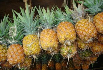 Pineapple -Baby pineapple type in Nairobi market, Kenya â’¸ Adeka et al., 2005. Foods of Nairobi people Pineapple -Baby pineapple type in Nairobi market, Kenya â’¸ Adeka et al., 2005. Foods of Nairobi people