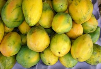 Ripe pawpaws fruits in Ngara market, Nairobi , Kenya. â’¸ P Maundu, 2005 Ripe pawpaws fruits in Ngara market, Nairobi , Kenya. â’¸ P Maundu, 2005