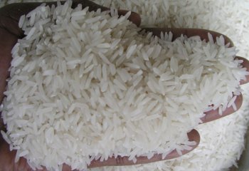 Golden Star Brand rice is a naturally fragrant long grain rice that is grown in Thailand @Maundu 2005 Golden Star Brand rice is a naturally fragrant long grain rice that is grown in Thailand @Maundu 2005