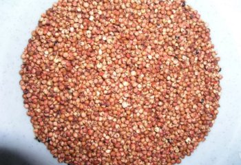 Red sorghum type in Nairobi market, Kenya. â’¸ Adeka et al., 2005 Red sorghum type in Nairobi market, Kenya. â’¸ Adeka et al., 2005