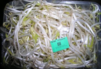 Edible bean sprouts