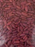 Dry beans seed Kenya Red Kidney â’¸ A.A. Seif, icipe Dry beans seed Kenya Red Kidney â’¸ A.A. Seif, icipe